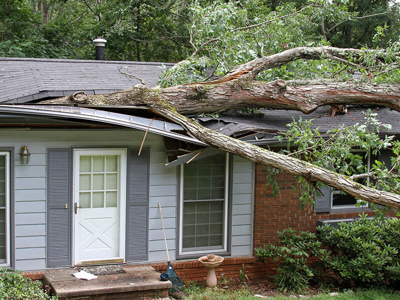 Storm Damage